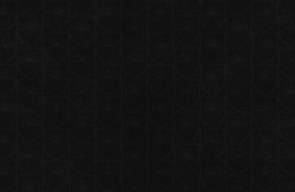  2025/06/GP_Newsletter_Pattern.png 