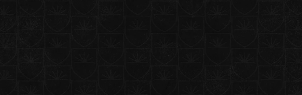 2025/06/GP_Newsletter_Pattern-e1756527783532.png 